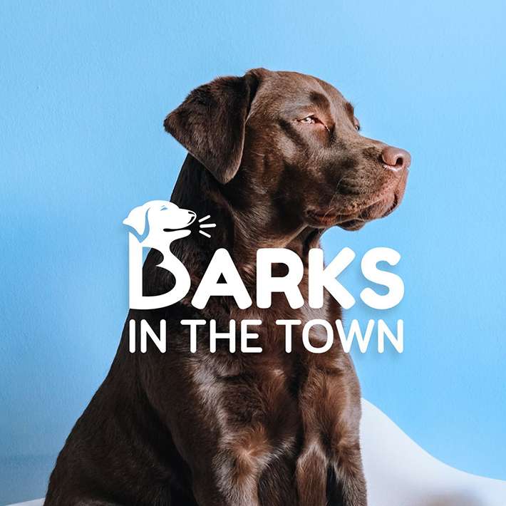 Barks in the town